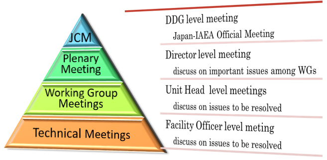 Regular Consultations with IAEA